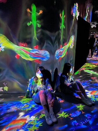 Immersive interactive installation is also a kind of media design